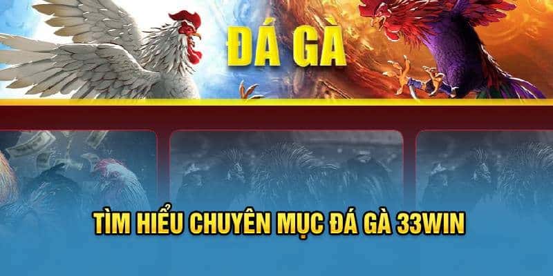 Sảnh đá gà kịch tính 33win